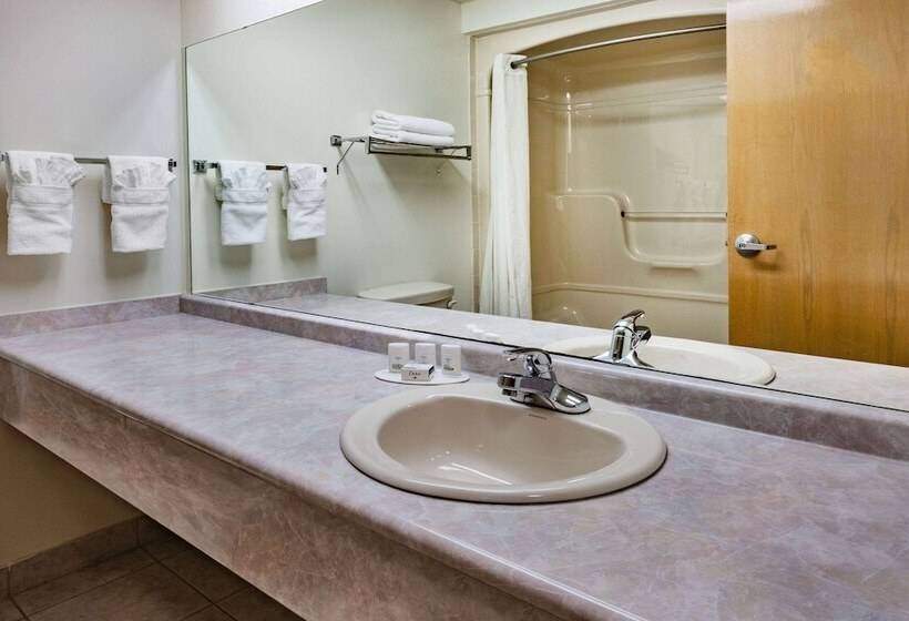 מוטל Super 8 By Wyndham Ambassador Bridge Windsor On