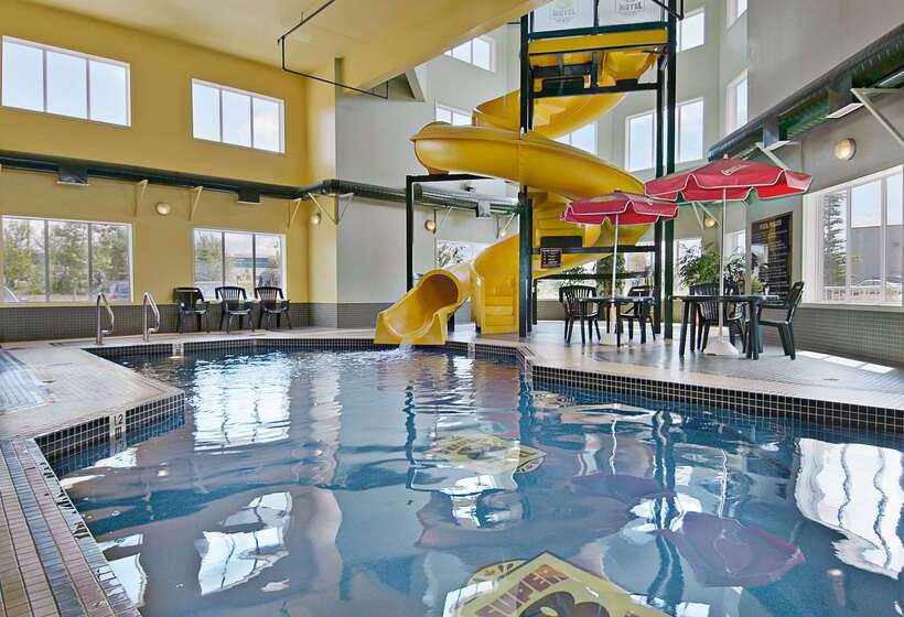 فندق على الطريق Super 8 By Wyndham Calgary Shawnessy Area
