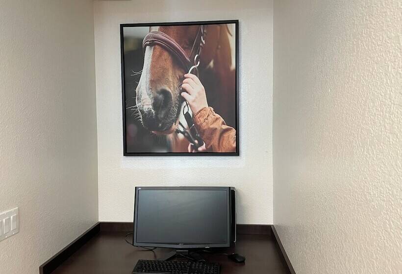 Motel Super 8 By Wyndham Calgary Shawnessy Area