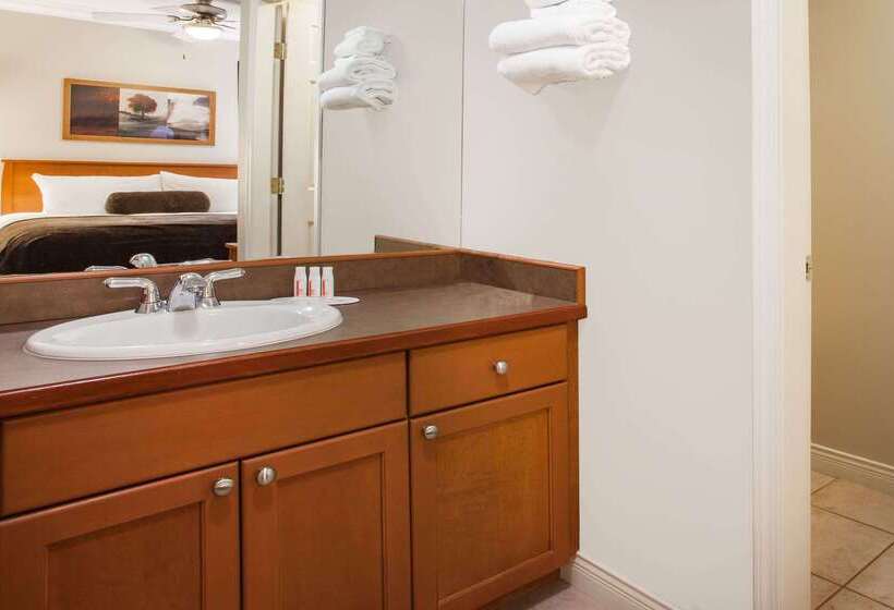 汽车旅馆  Super 8 By Wyndham Castlegar Bc