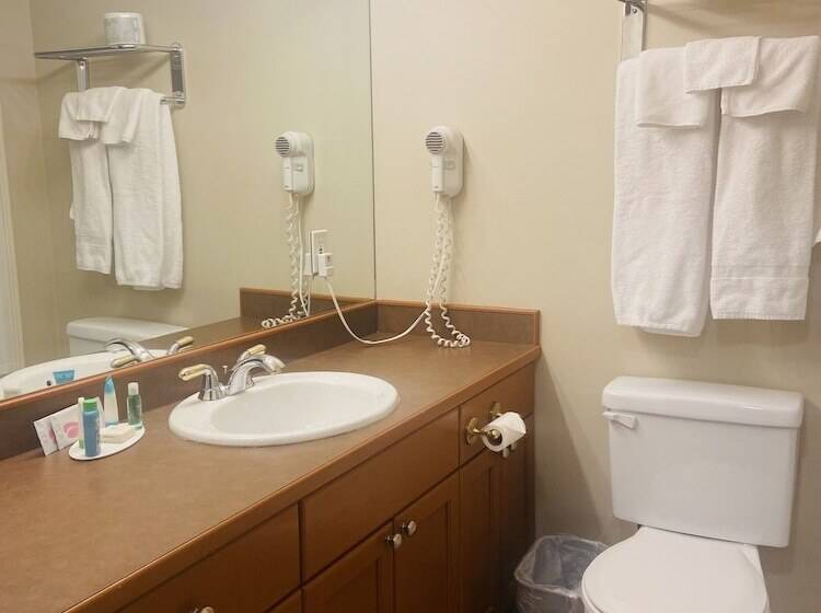 汽车旅馆  Super 8 By Wyndham Castlegar Bc