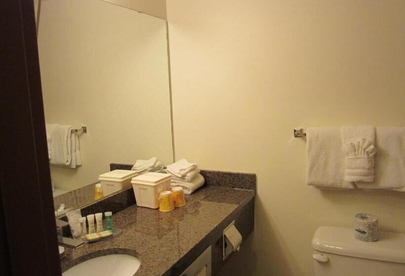 モーテル Super 8 By Wyndham Dawson Creek