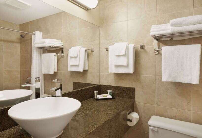 モーテル Super 8 By Wyndham Edmonton International Airport