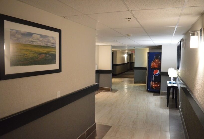 فندق على الطريق Super 8 By Wyndham Grande Prairie