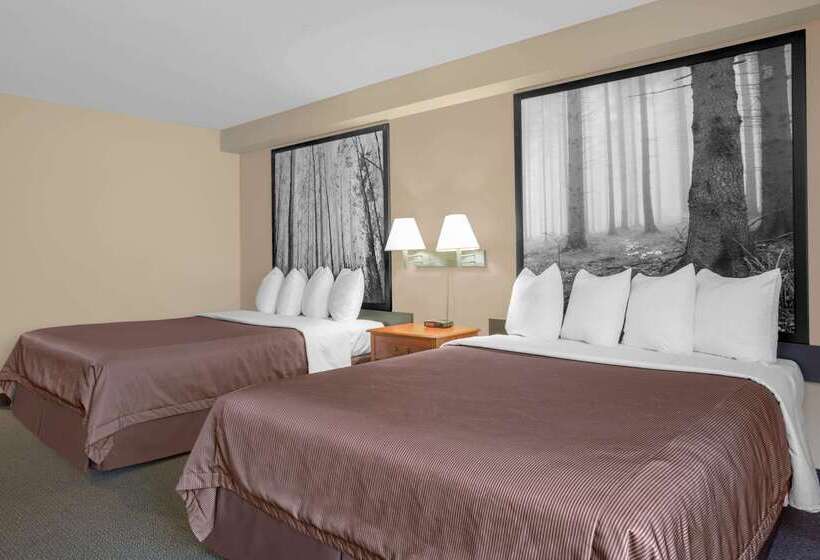 فندق على الطريق Super 8 By Wyndham Sault Ste Marie On