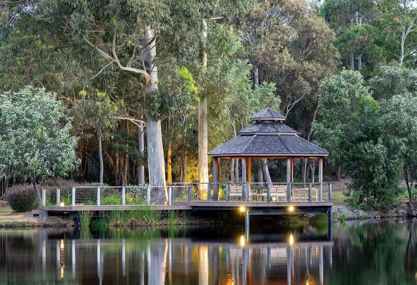Forest Rise Chalets And Lodge