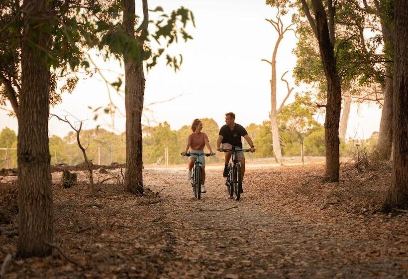 Forest Rise Chalets And Lodge