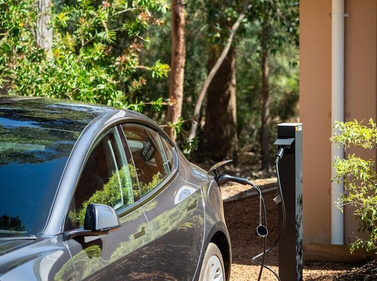 Forest Rise Chalets And Lodge