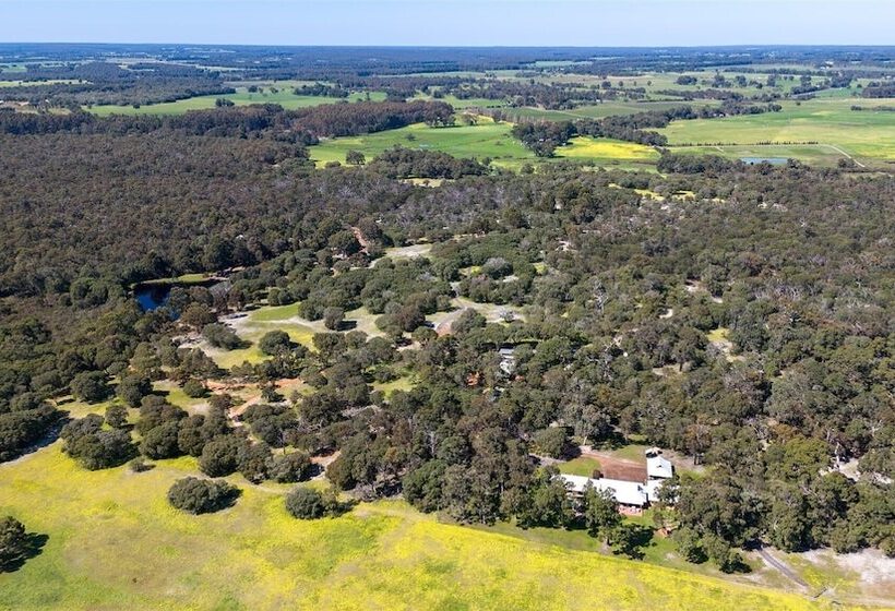 Forest Rise Chalets And Lodge