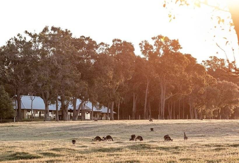 Forest Rise Chalets And Lodge