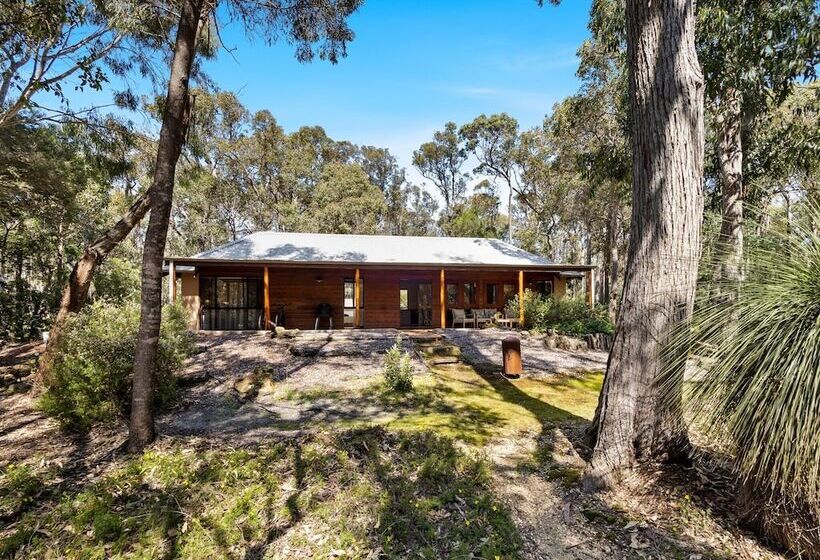 Forest Rise Chalets And Lodge