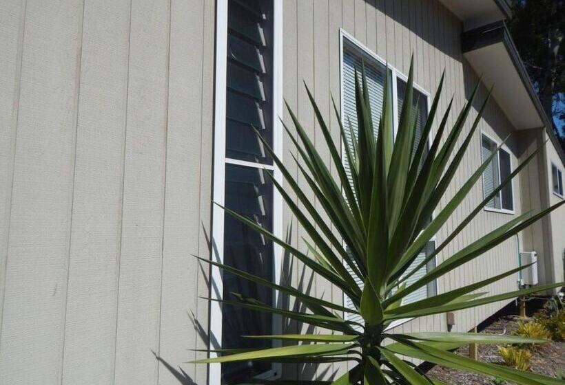 בית מלון כפרי Big4 Tasman Holiday Parks   Nambucca Heads