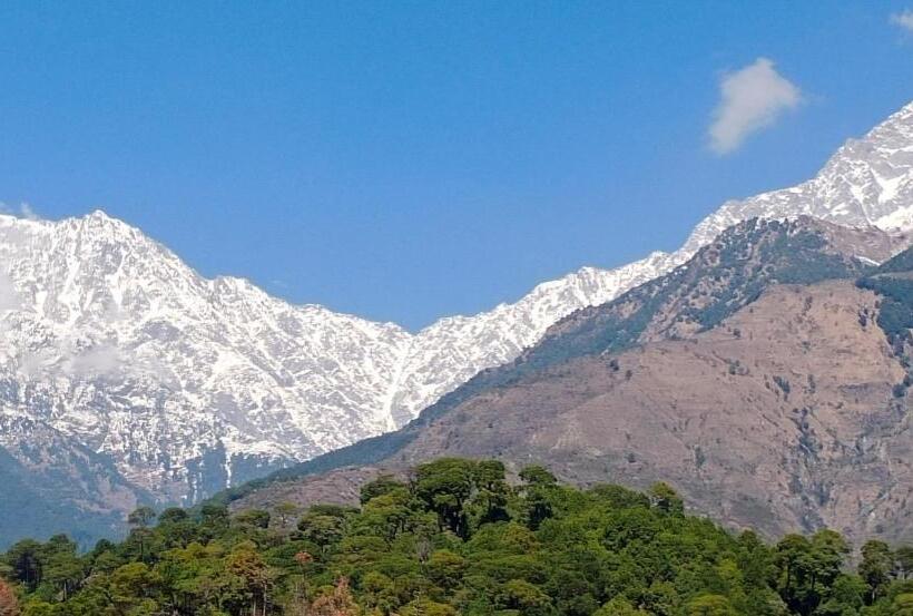 酒店 Vatika   The Riverside Resort