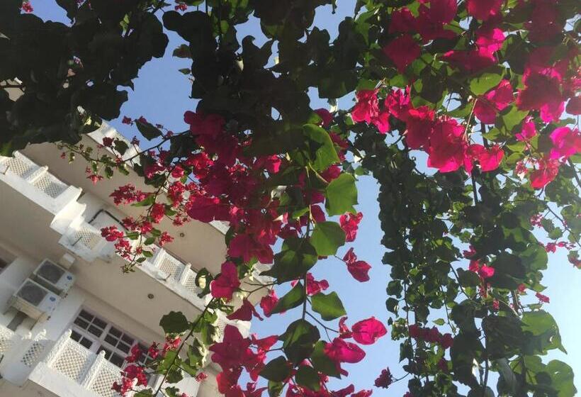 酒店 Vatika   The Riverside Resort