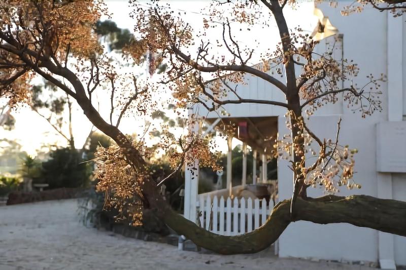 Little River Bed And Breakfast