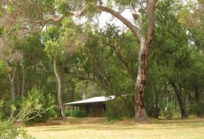 Woody Grange Chalets