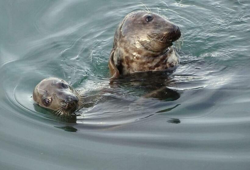 Beacon House B&b Brixham