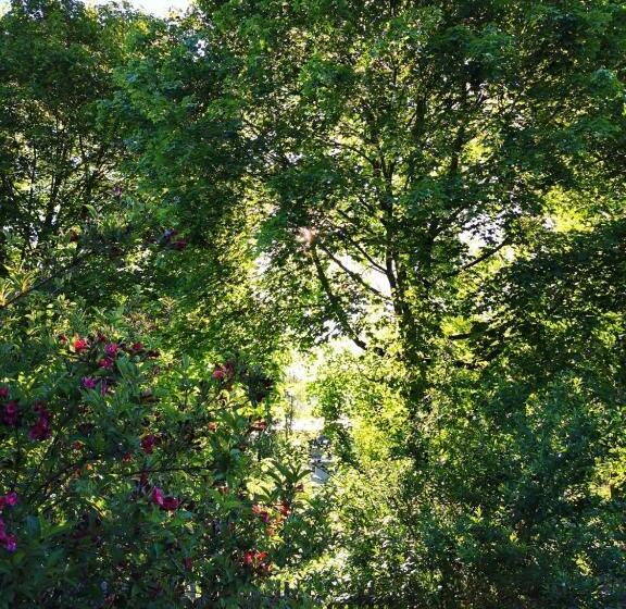 Bed and Breakfast Gästehaus Neu Am Passionstheater