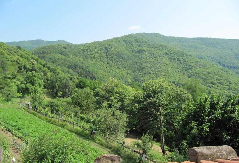 Charming Detached House In Lucca Province