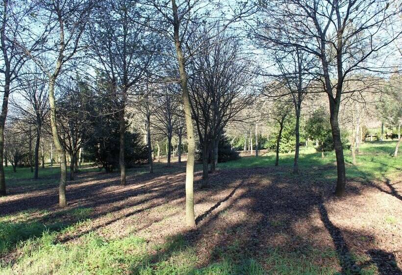 Excellent Cottage In Santa Comba With Communal Swimming Pool