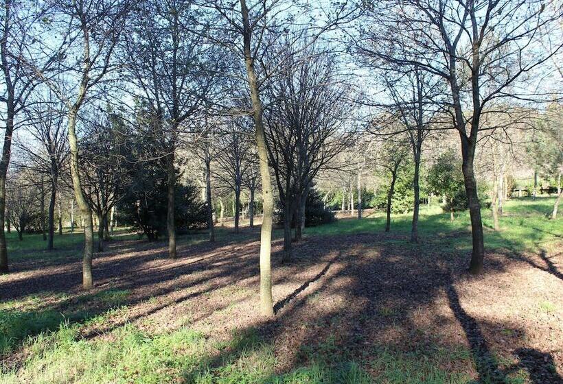 Excellent Cottage In Santa Comba With Communal Swimming Pool