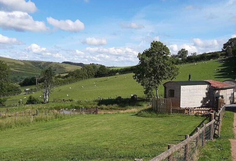 Foxglove Holiday Private Eco Accommodation