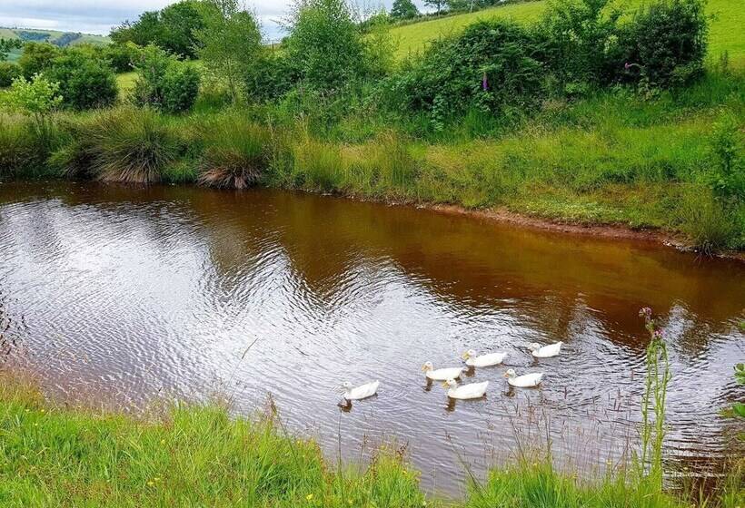 Foxglove Holiday Private Eco Accommodation