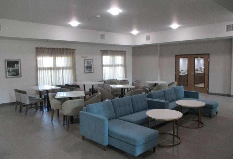 فندق Best Western Plus Chickasha Inn