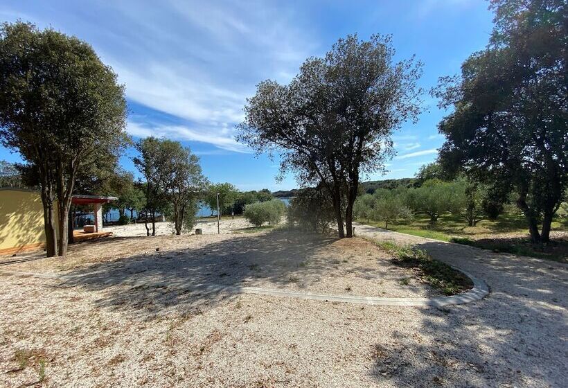 ホテル Campsite Piccolo