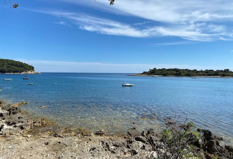 ホテル Campsite Piccolo