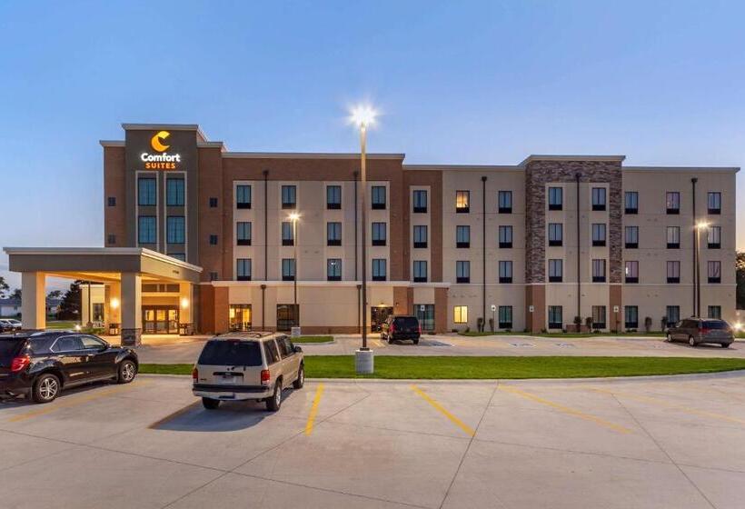 酒店 Comfort Suites