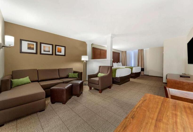 酒店 Comfort Suites