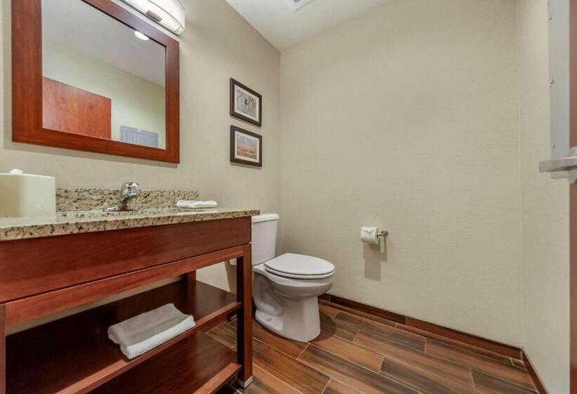 酒店 Comfort Suites