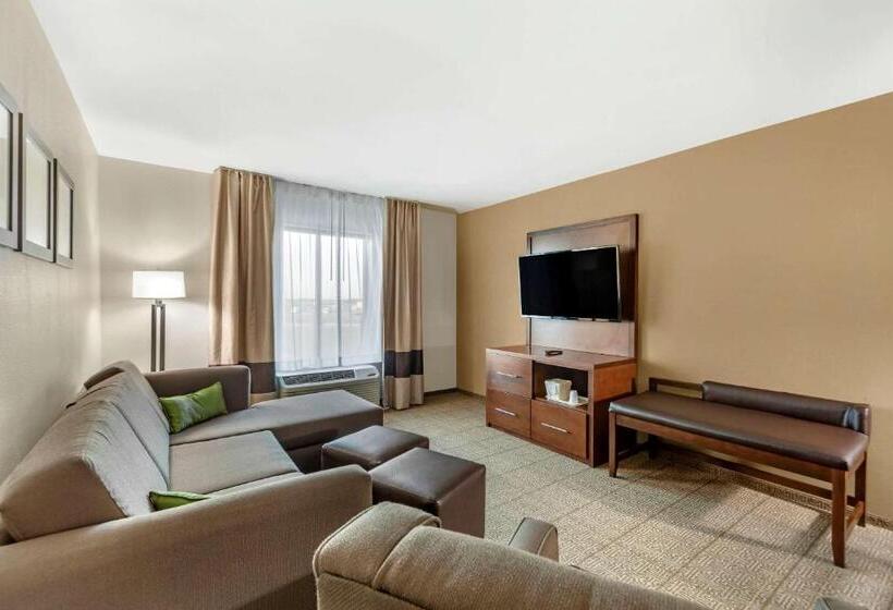 酒店 Comfort Suites