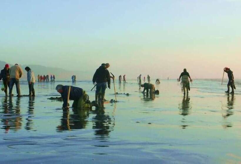 فندق Pacific Dunes Resort