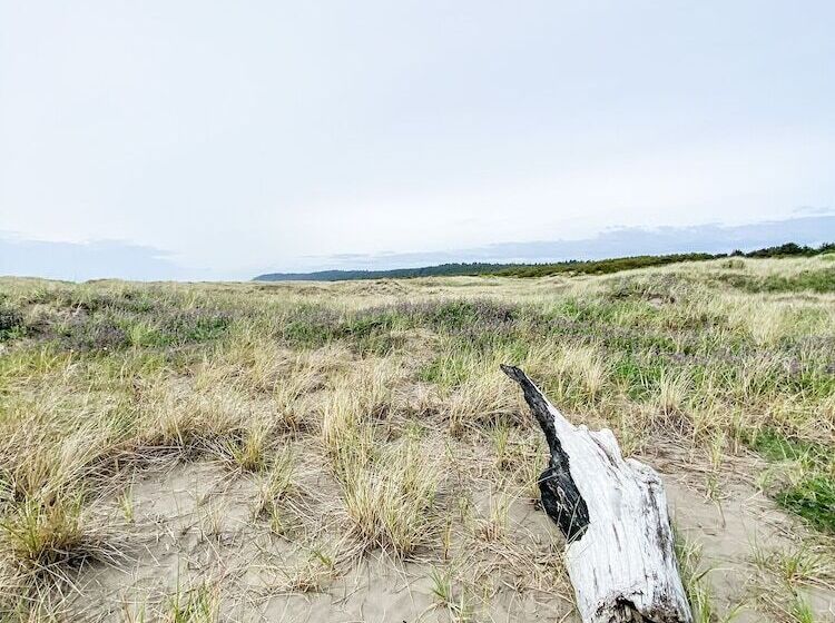 فندق Pacific Dunes Resort