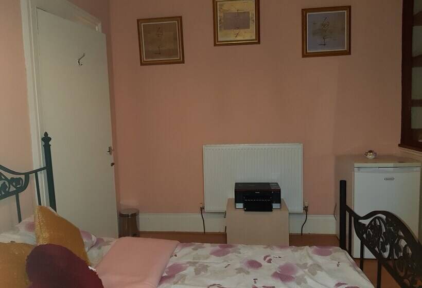 酒店 Phoenix Nights Guest House