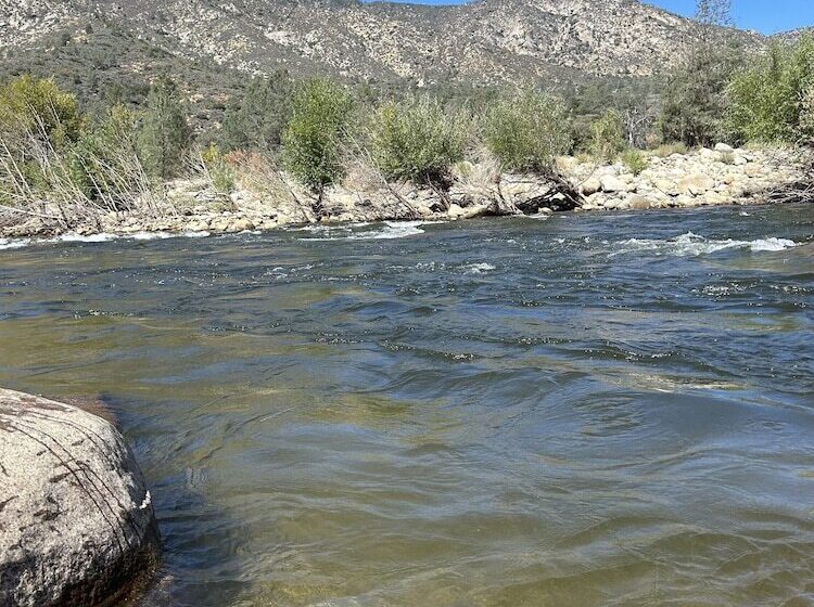 호텔 Socal Camping