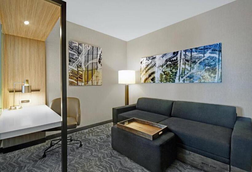 בית מלון כפרי Springhill Suites By Marriott St. Paul Arden Hills