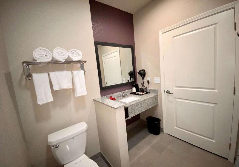 Surestay Plus Hotel By Best Western Ada