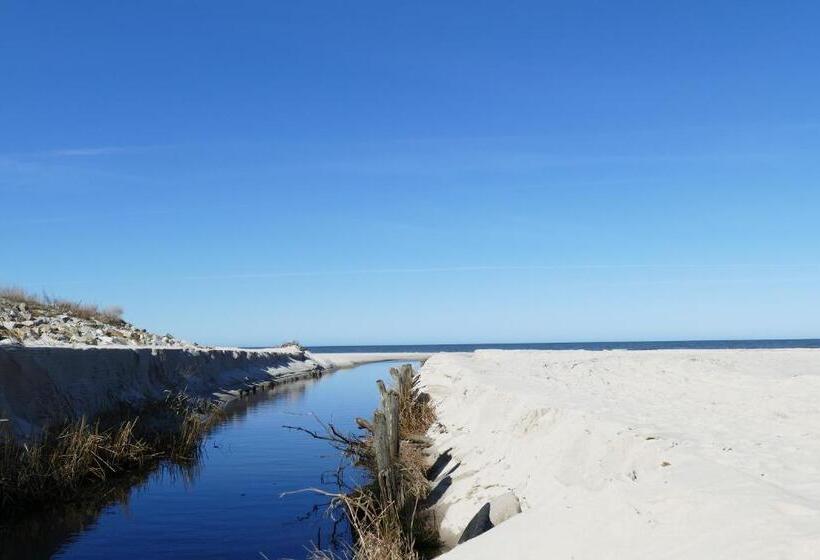 فندق Willa Złota