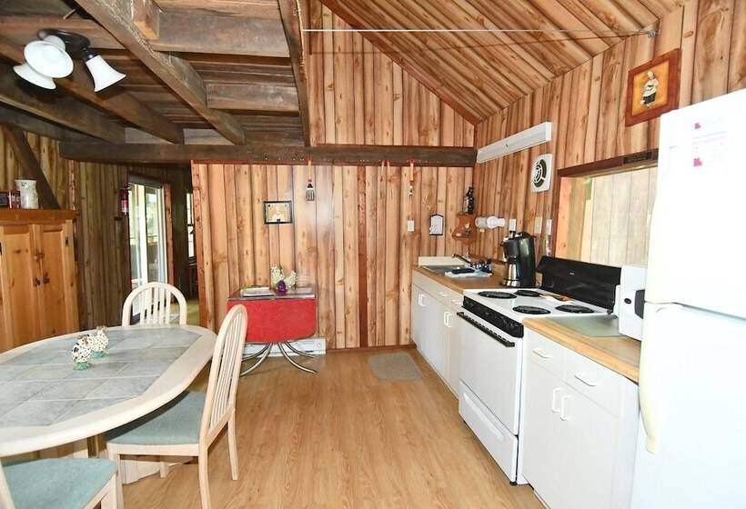 Mishka At Sleepy Creek