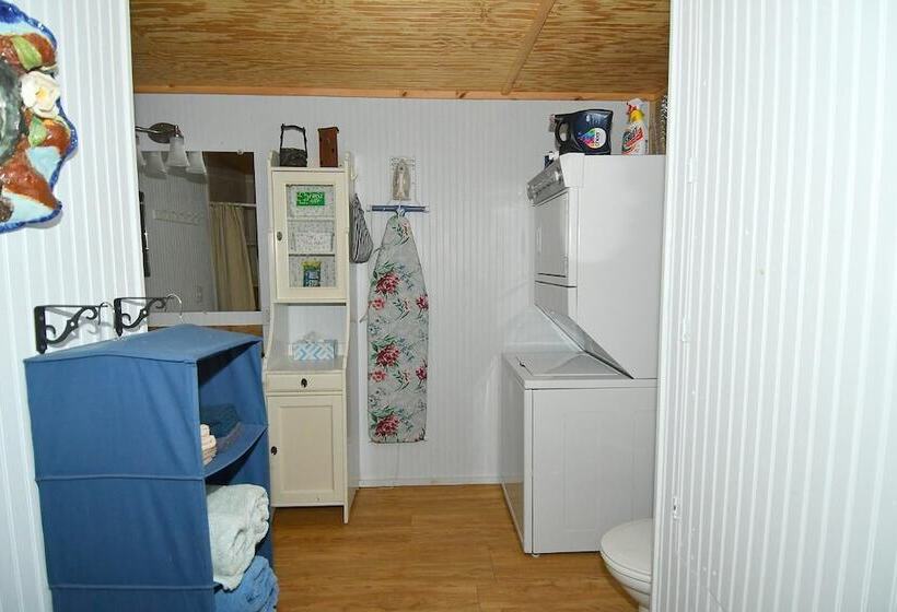 Mishka At Sleepy Creek