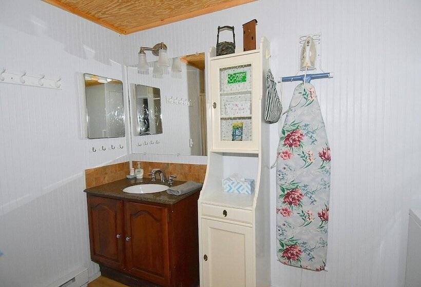 Mishka At Sleepy Creek