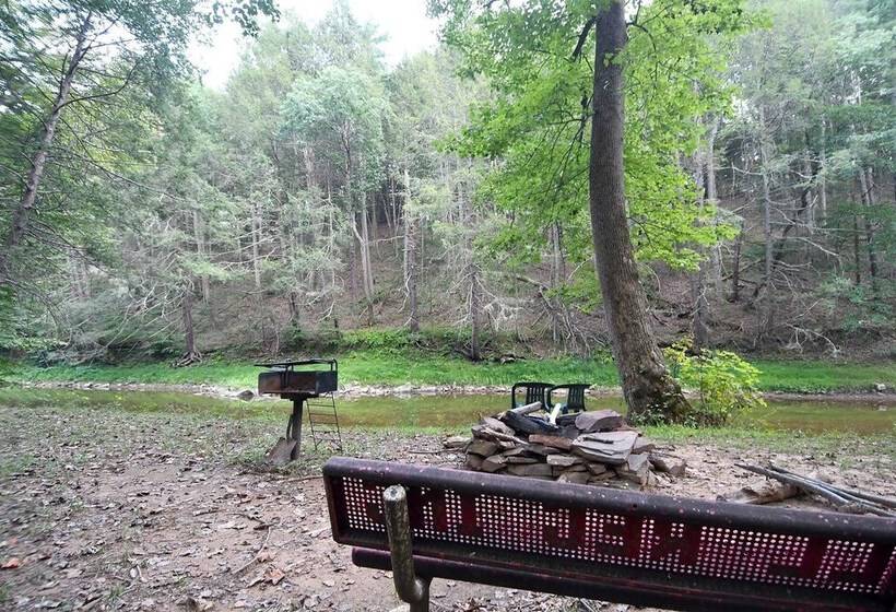 Mishka At Sleepy Creek