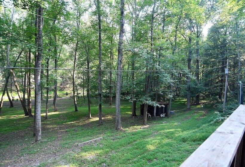 Mishka At Sleepy Creek