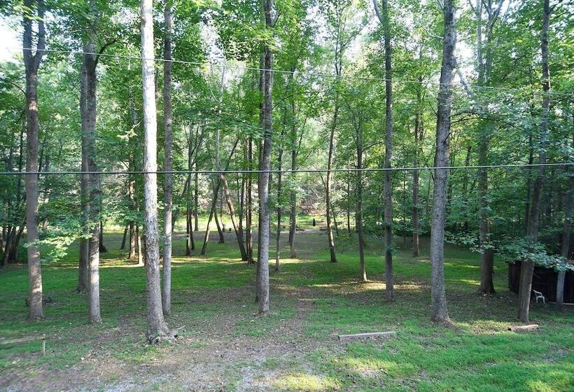 Mishka At Sleepy Creek