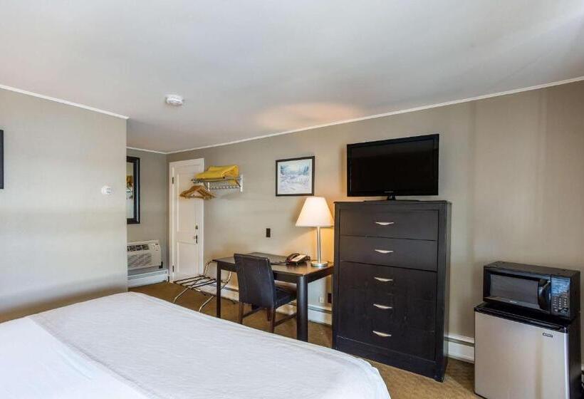 فندق على الطريق Rodeway Inn