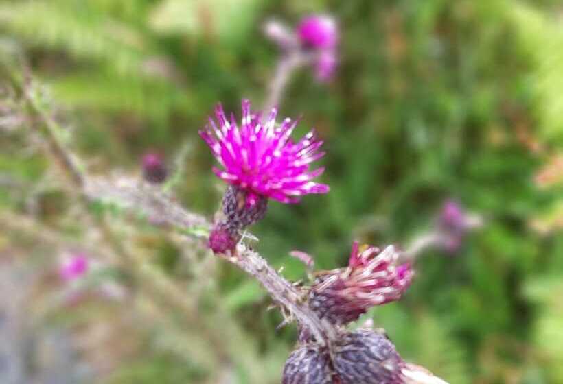 Off Grid Hideaway On The West Coast Of Scotland