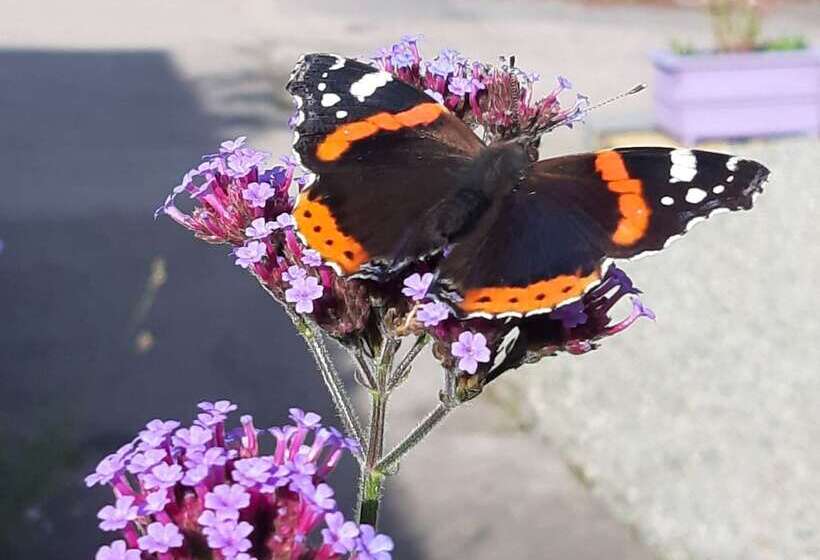 Off Grid Hideaway On The West Coast Of Scotland